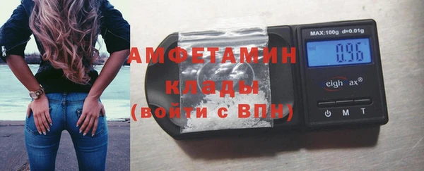 прущие грибы Покровск