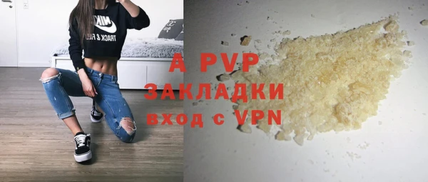 прущие грибы Покровск