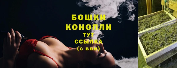 прущие грибы Покровск