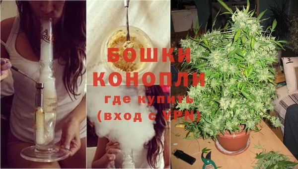 прущие грибы Покровск