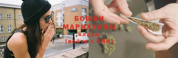 прущие грибы Покровск