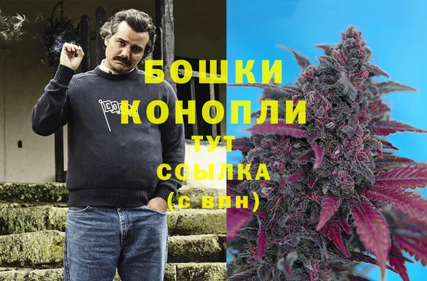гашик Покачи