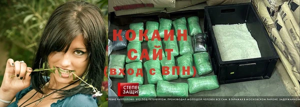 прущие грибы Покровск