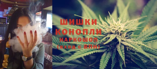 сатива Среднеколымск