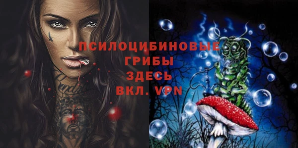гашик Покачи