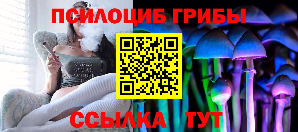 Галлюциногенные грибы мицелий  Псилоцибиновые грибы Psilocybine cubensis  Вход с VPN  Черногорск 